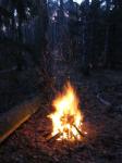 №4Параллельные ситуации&quot;Огненный призрак в холодном лесу&quot;
