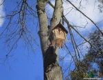 Замечательный креативный домик для птичек