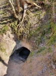 куриные лапки над Танечкиной пещерой)