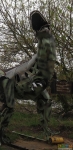 Международный день динозавров	18 мая