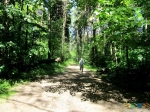 Приятный лес, чудесная тропа. Всё ещё впереди. :=)))