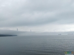 С утра мост накрыло густым туманом