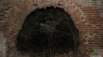 Дерево, охраняющее входной портал