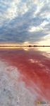 6-розовое озеро