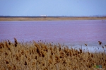 3. Розовое озеро