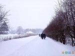 Занесенное снегом Спасское-Лутовиново