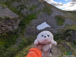 Белек путешественник. (https://instagram.com/sealcub_traveler)  мой напарник в путешествиях :)   снег, в конце августа, выше водопада