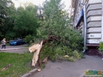 Воскресный ураган постарался - дерево во дворе - тоже не ерунда