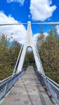 Вантовый мост