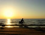 На велосипедах вдоль залива
