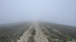 Дорога к тайнику в тумане… 
