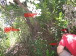 Спойлер по оринетирам - видна просека, дерево с 3 побегами, место закладки и автор отчета (не постоянный ориентир)