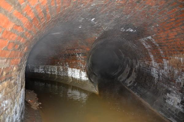 Без подписи