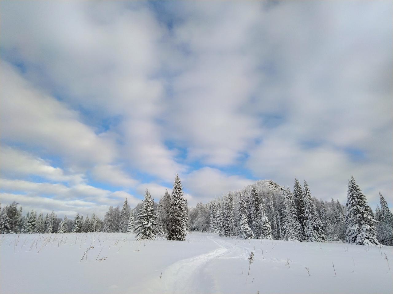 Без подписи