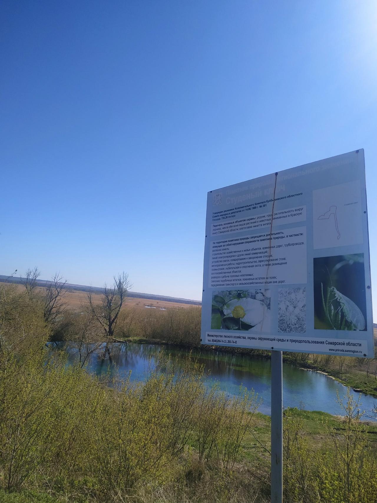 Без подписи