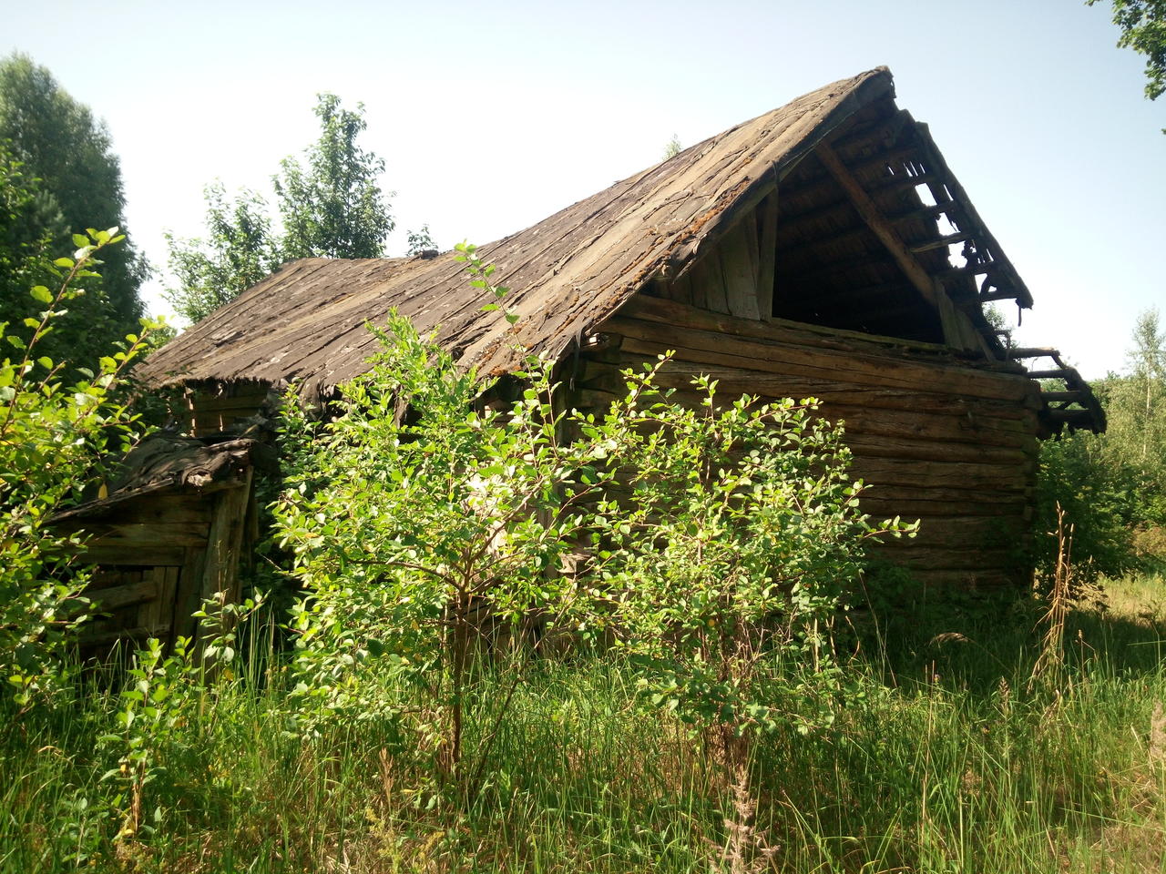 Без подписи