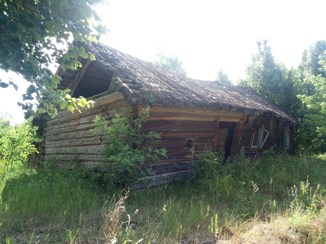 Без подписи