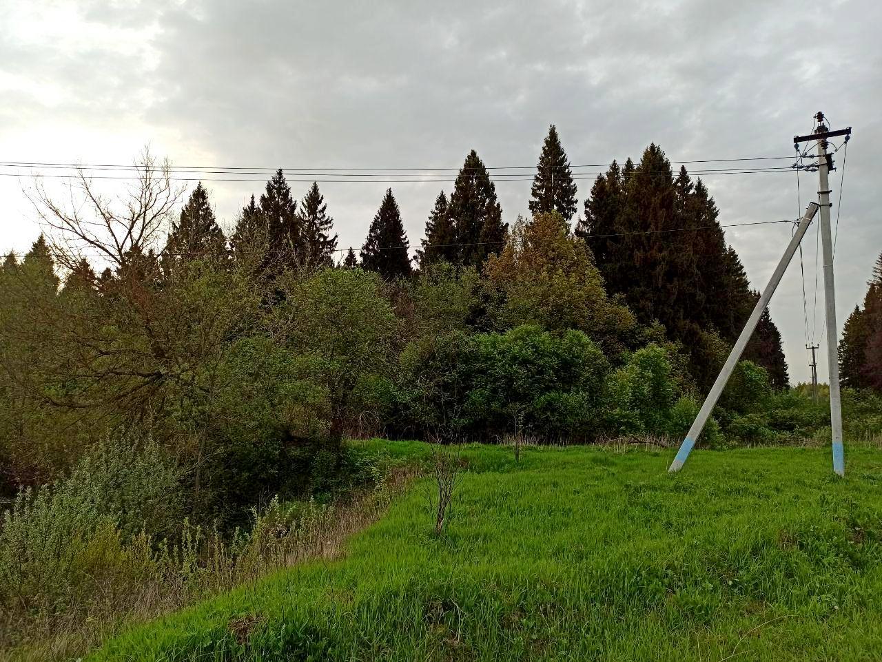 Вид на то самое дерево