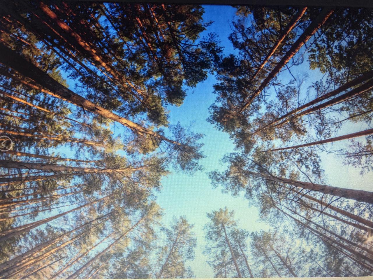 Без подписи