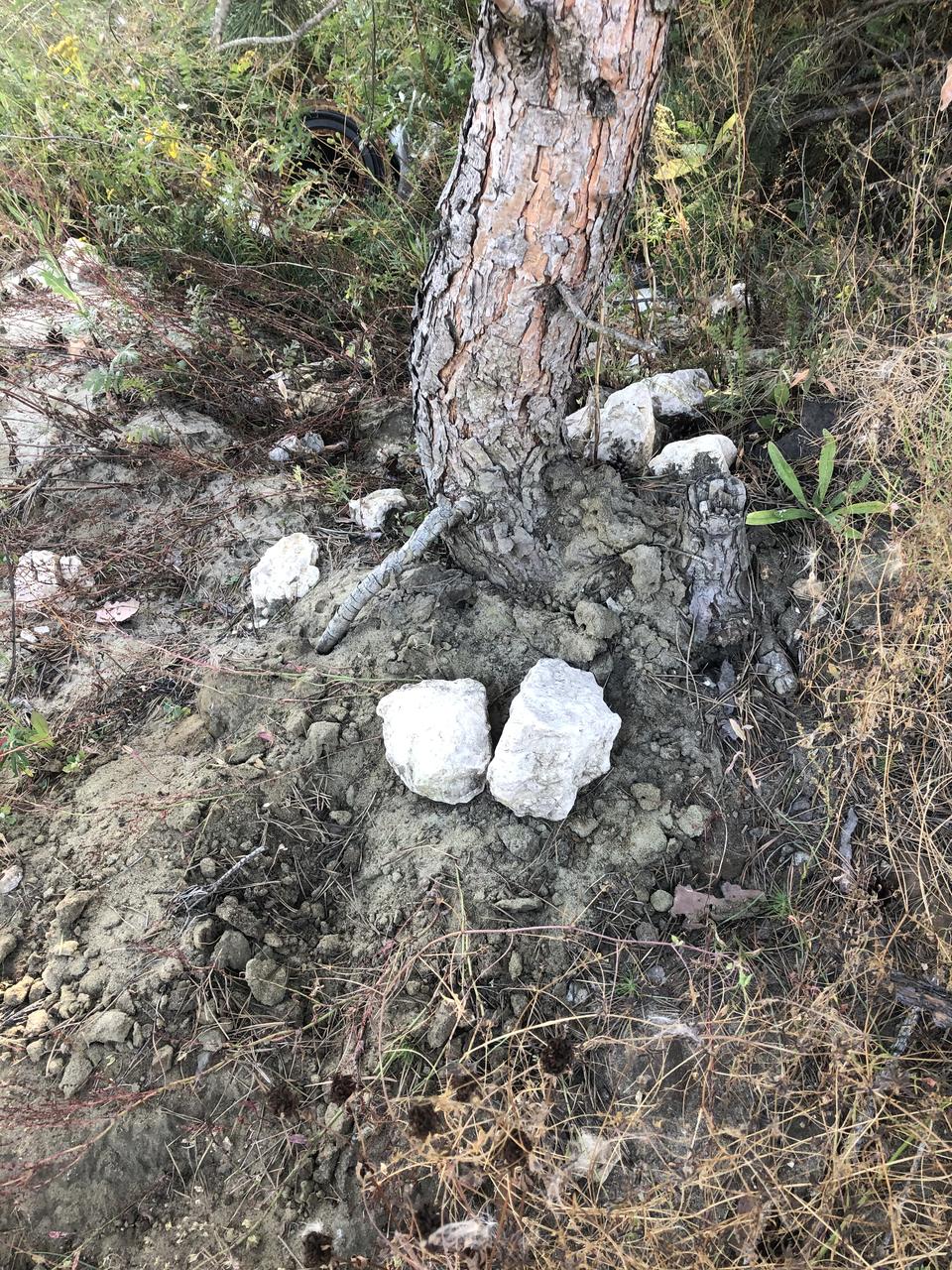 Без подписи