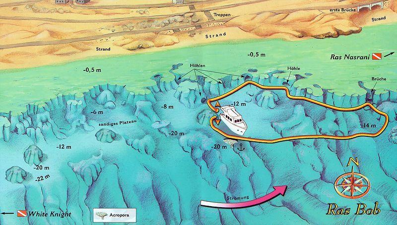Без подписи