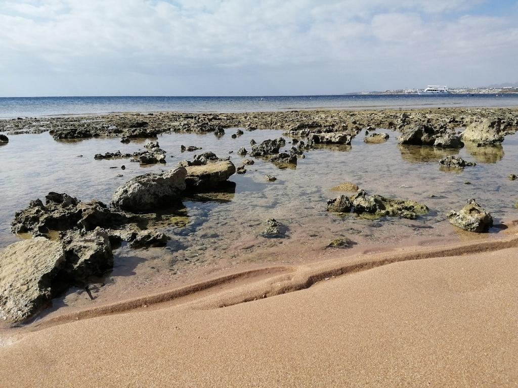 Отлив в Монтазе