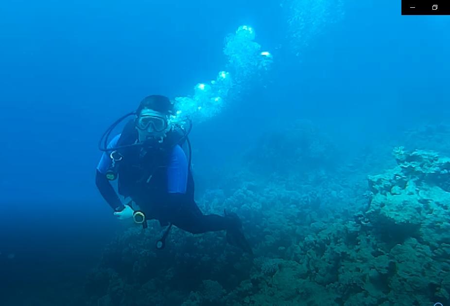 Без подписи