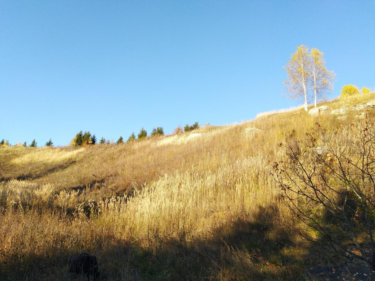 Без подписи