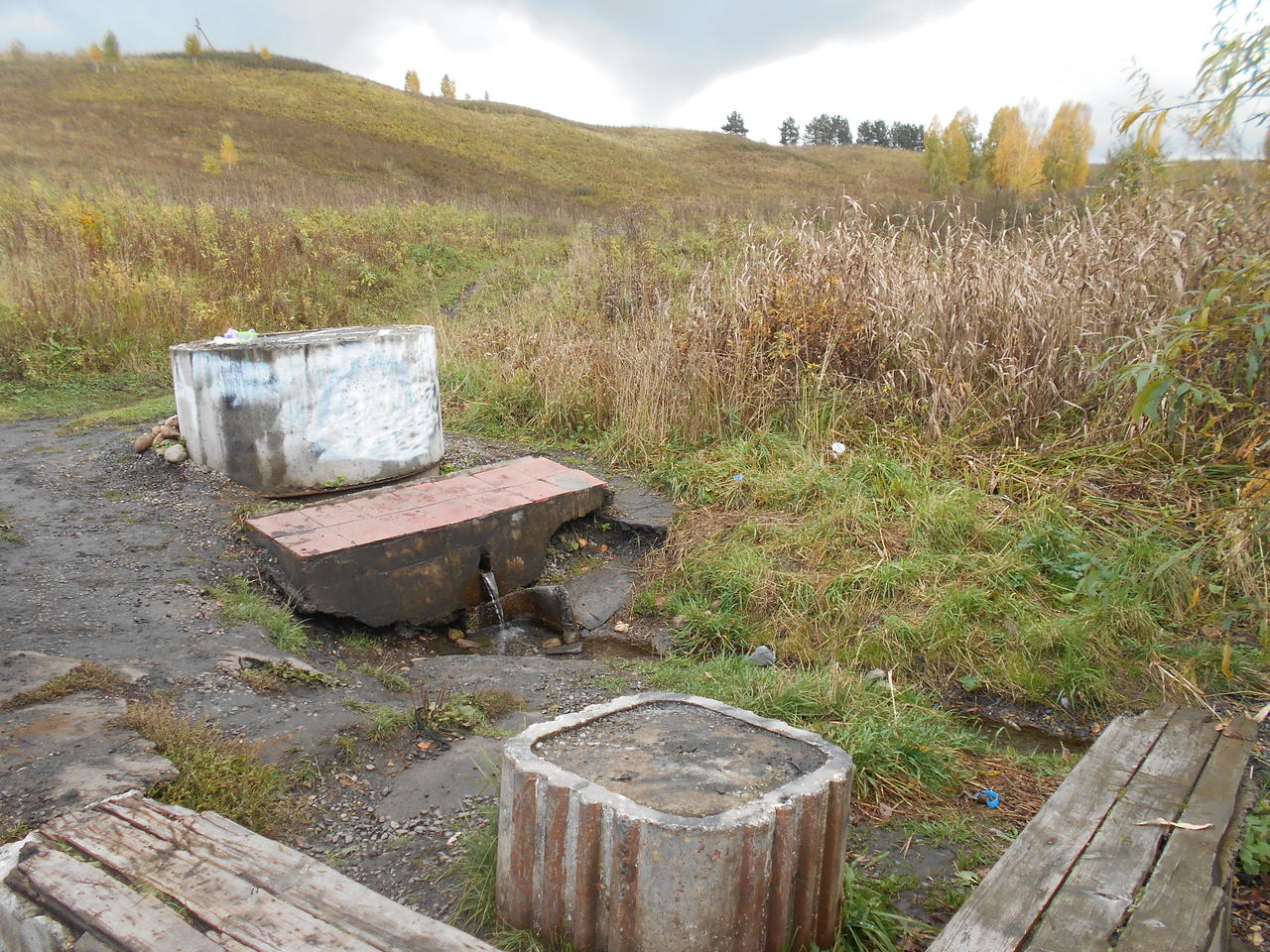 Черемзинский источник