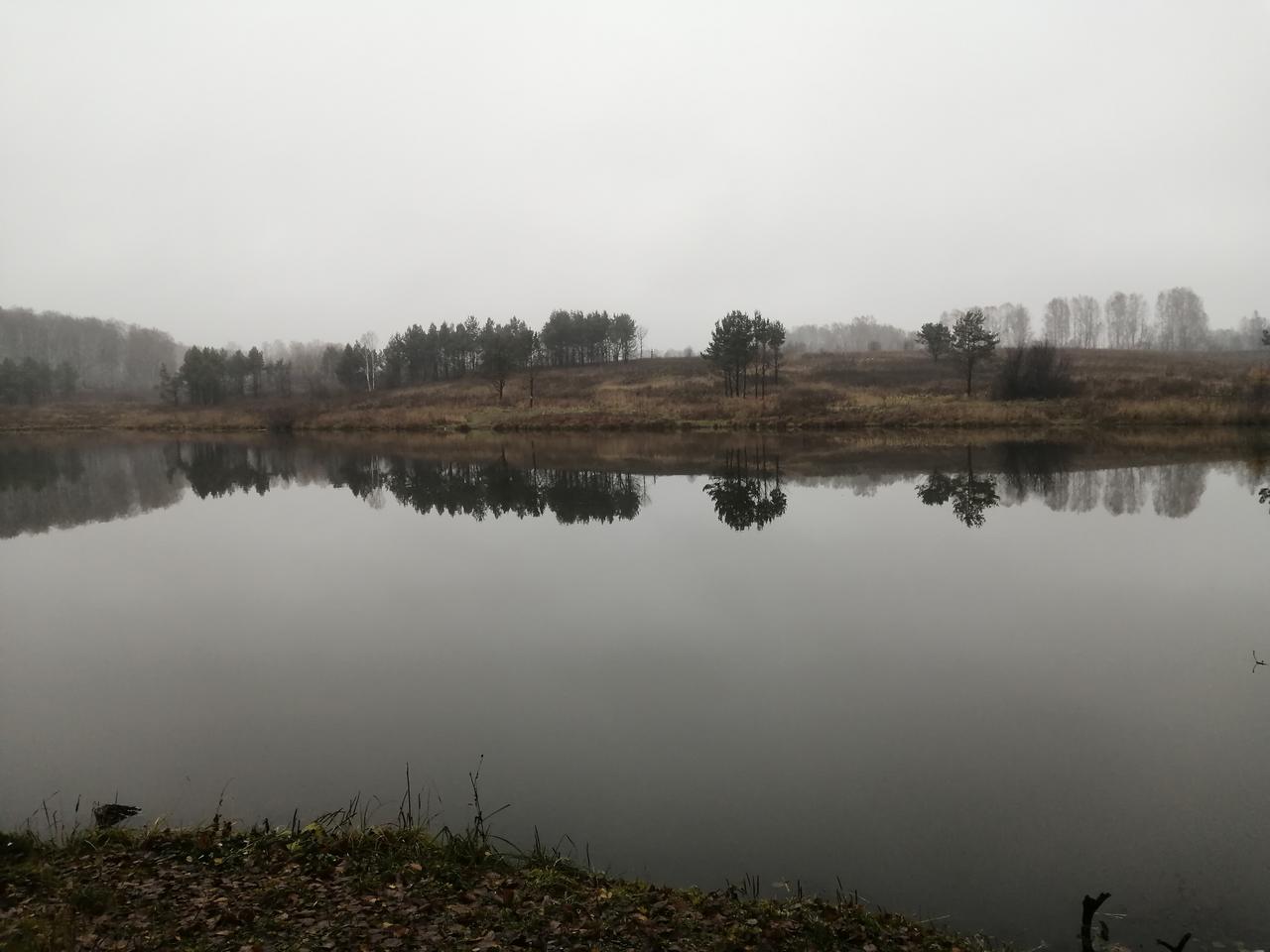 Без подписи