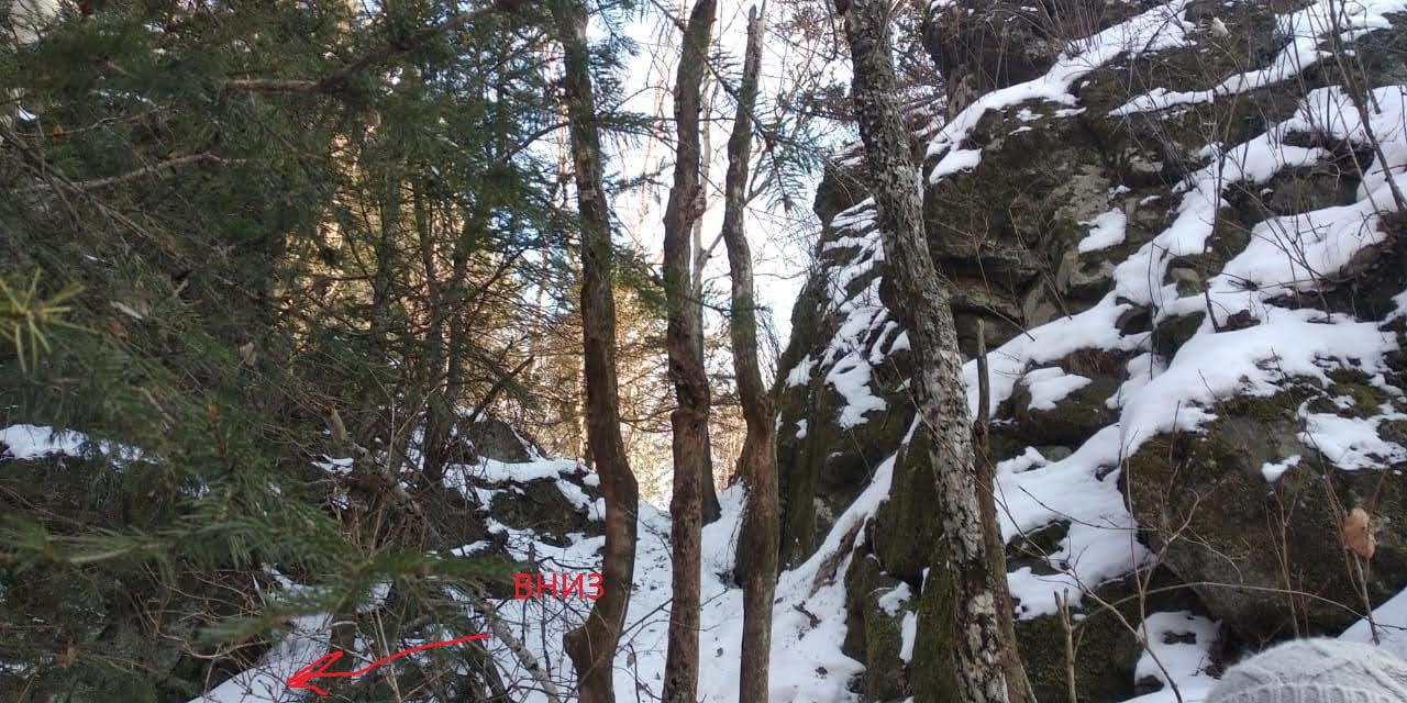 Без подписи