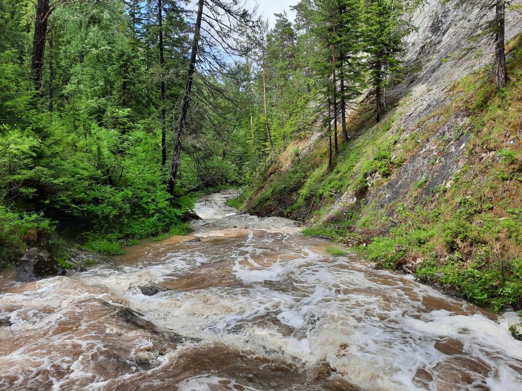 Без подписи