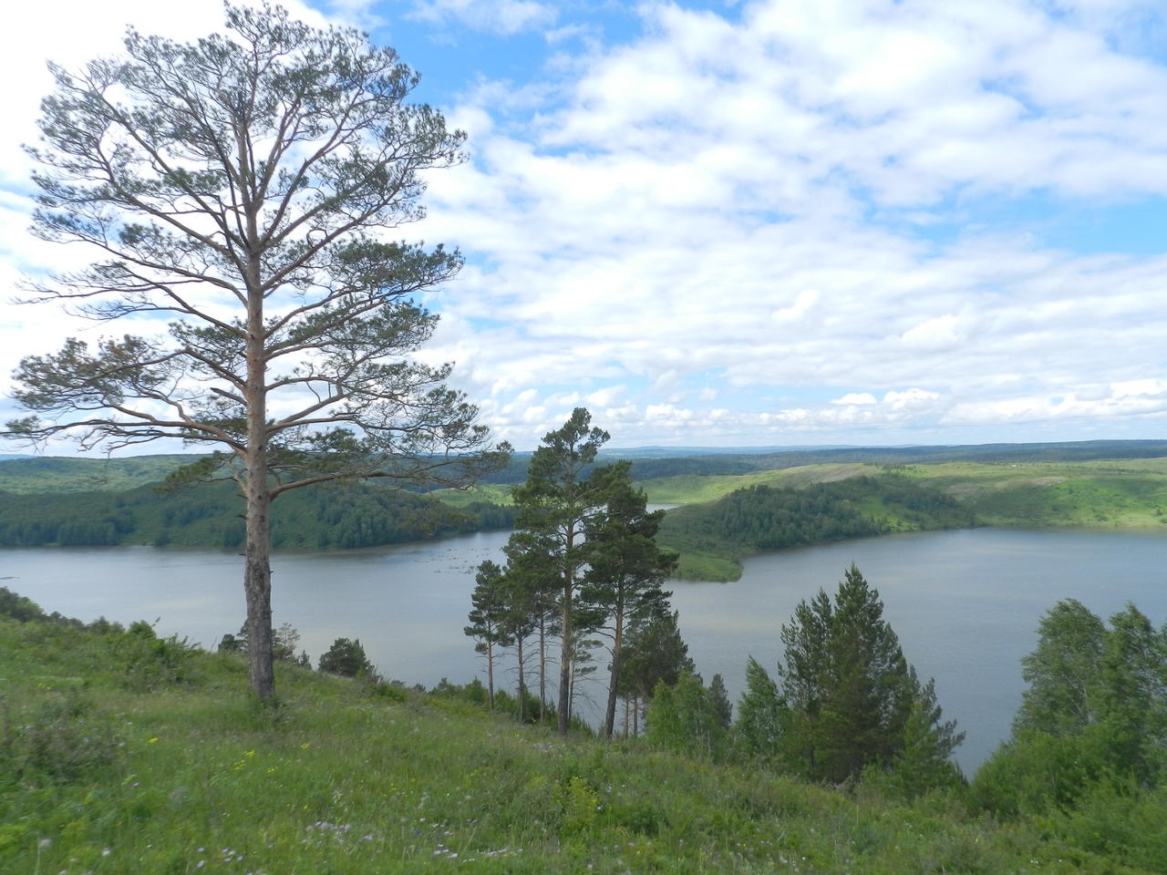 Без подписи