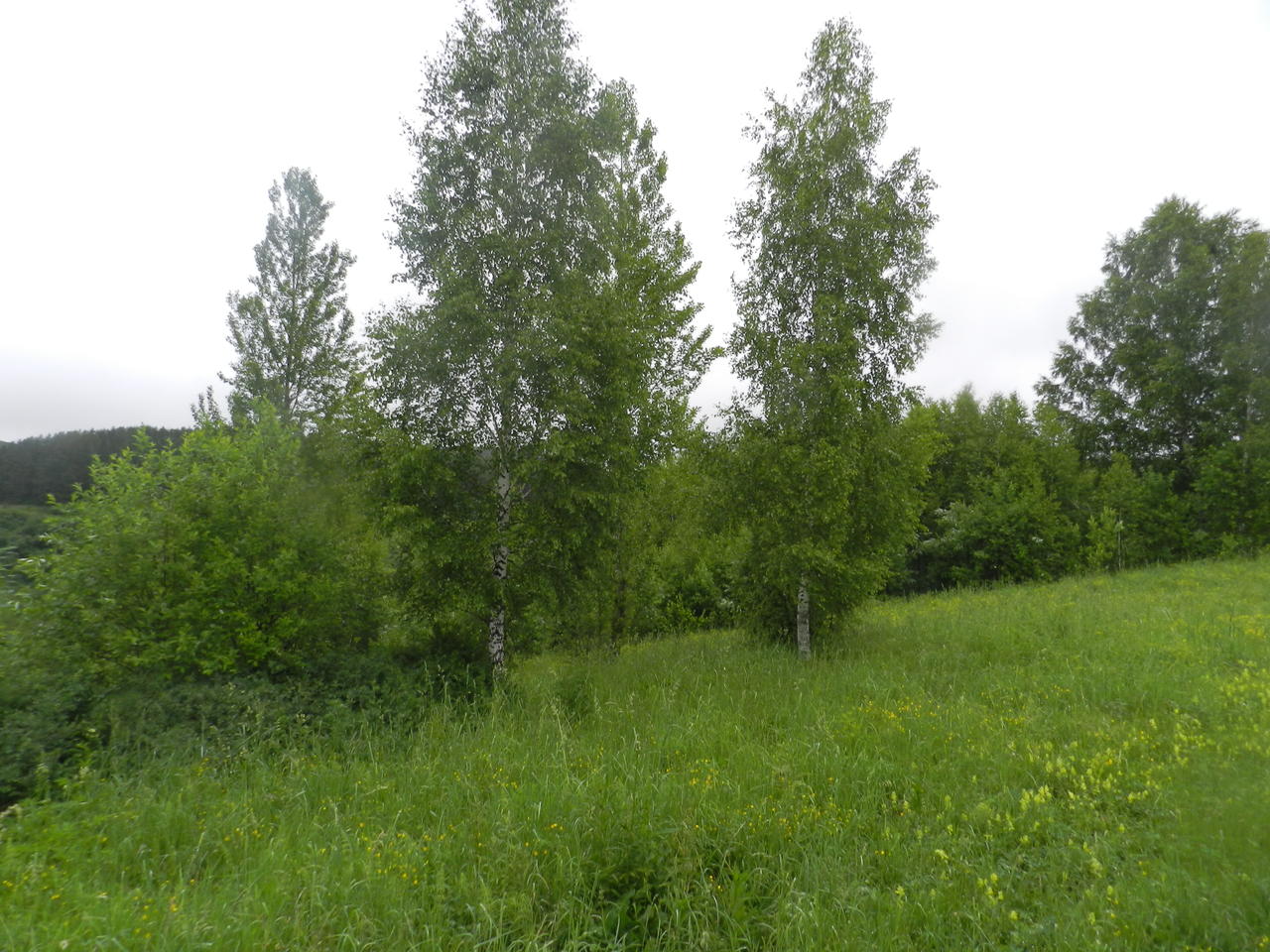 Та, что справа