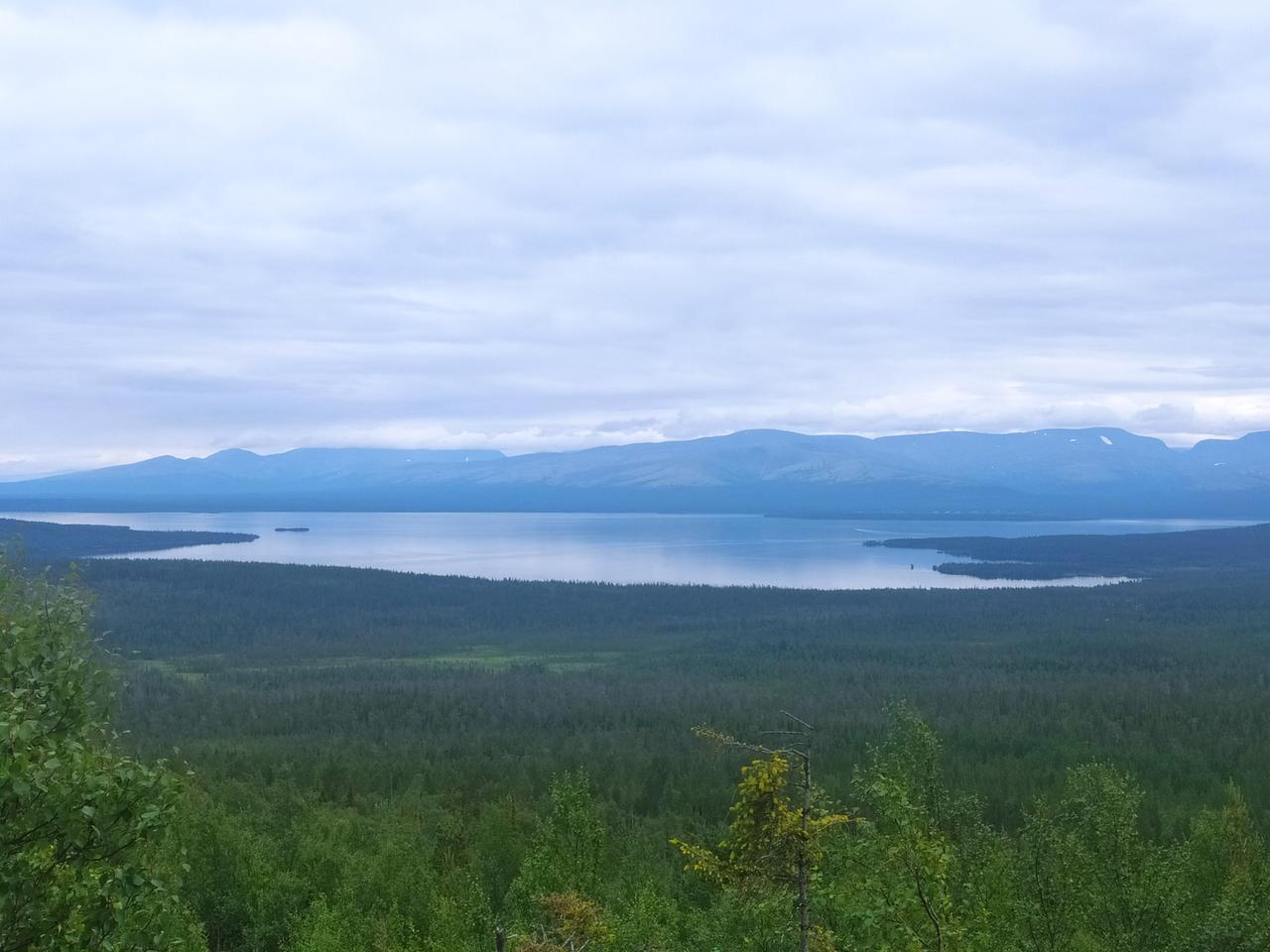 Без подписи