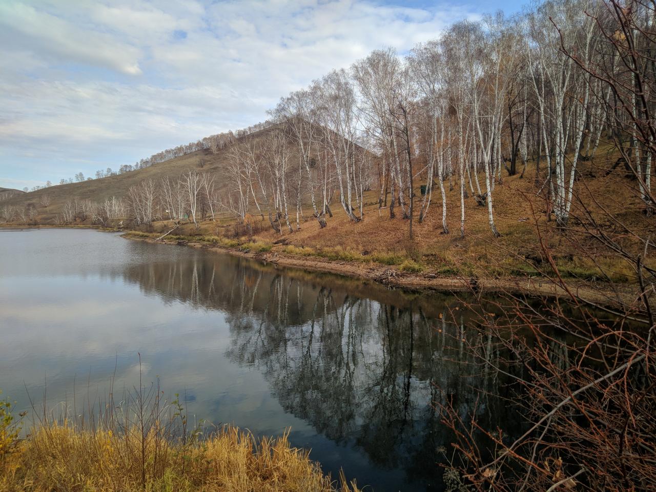 Без подписи