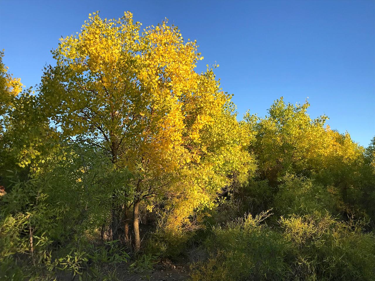 Без подписи