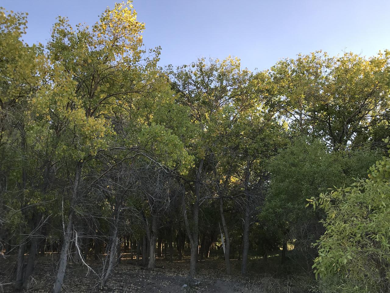 Без подписи