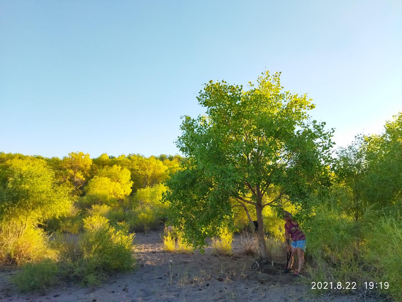 Без подписи