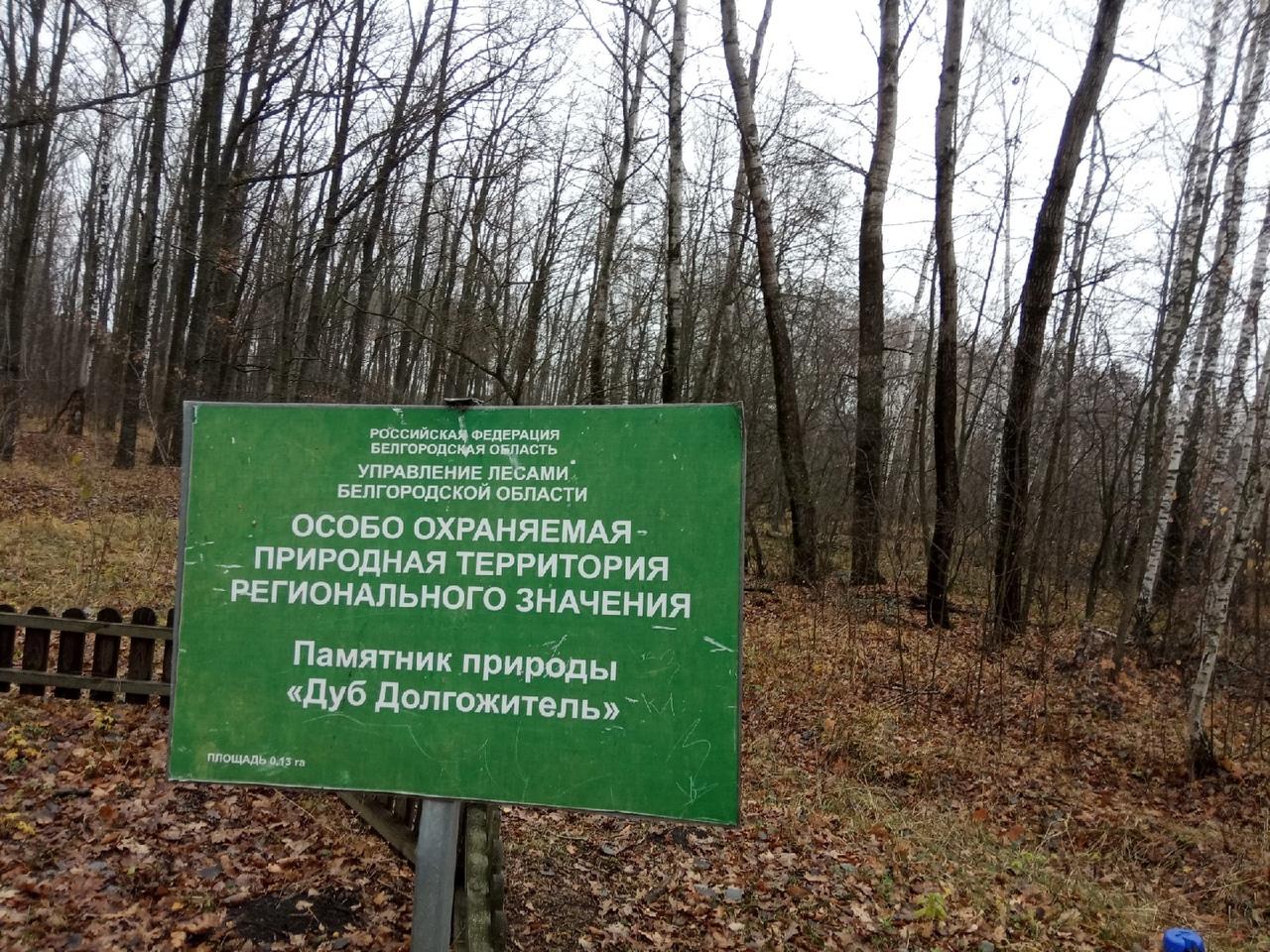 Без подписи