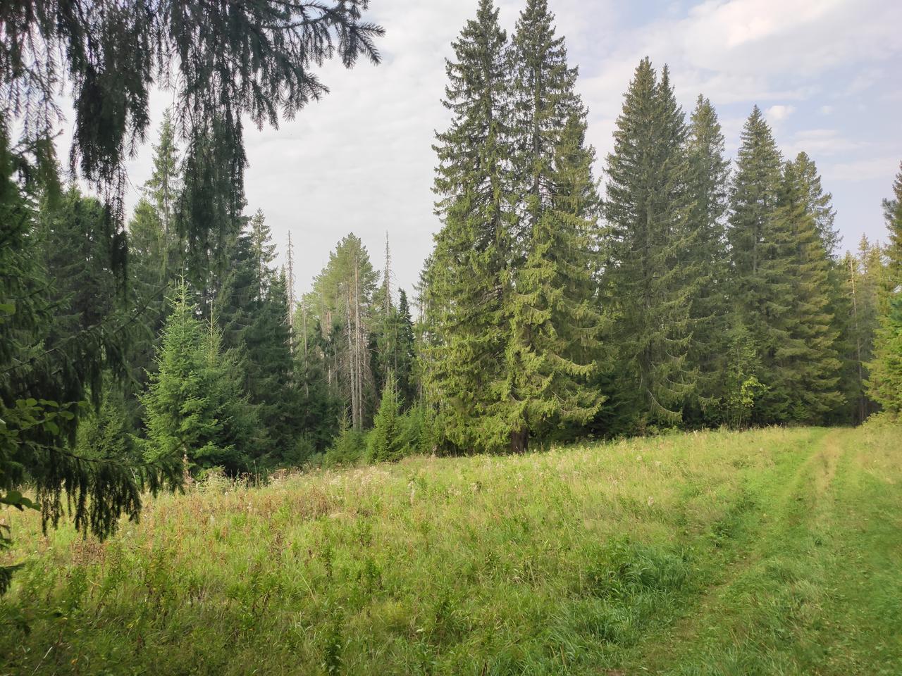 Без подписи