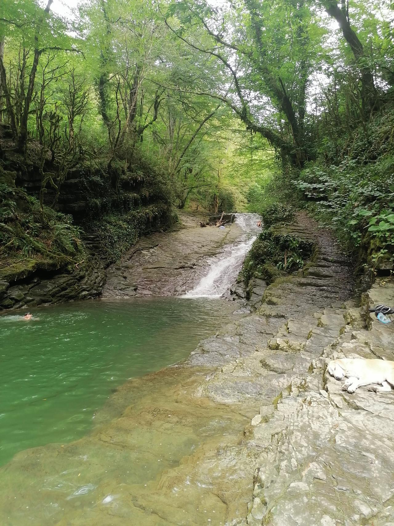 Без подписи