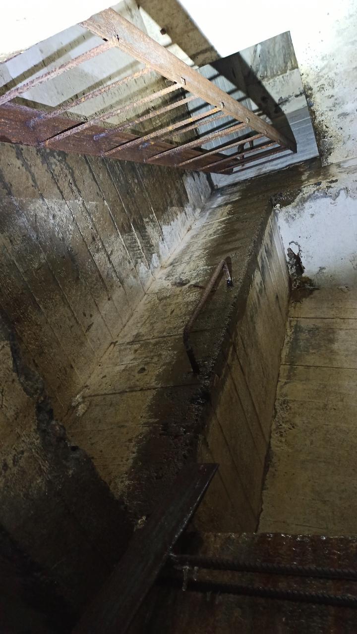 Без подписи