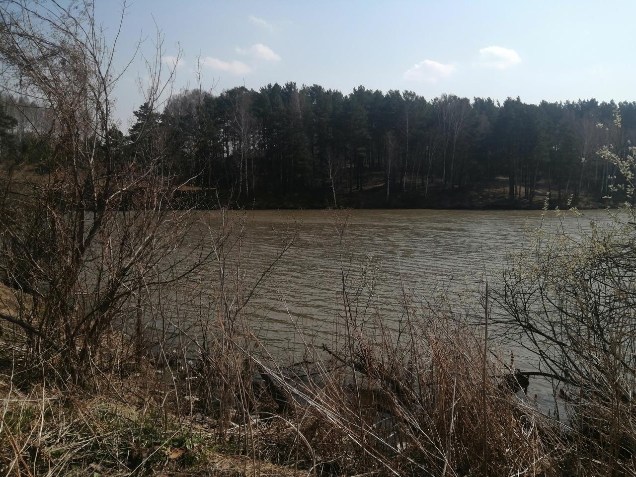 Без подписи