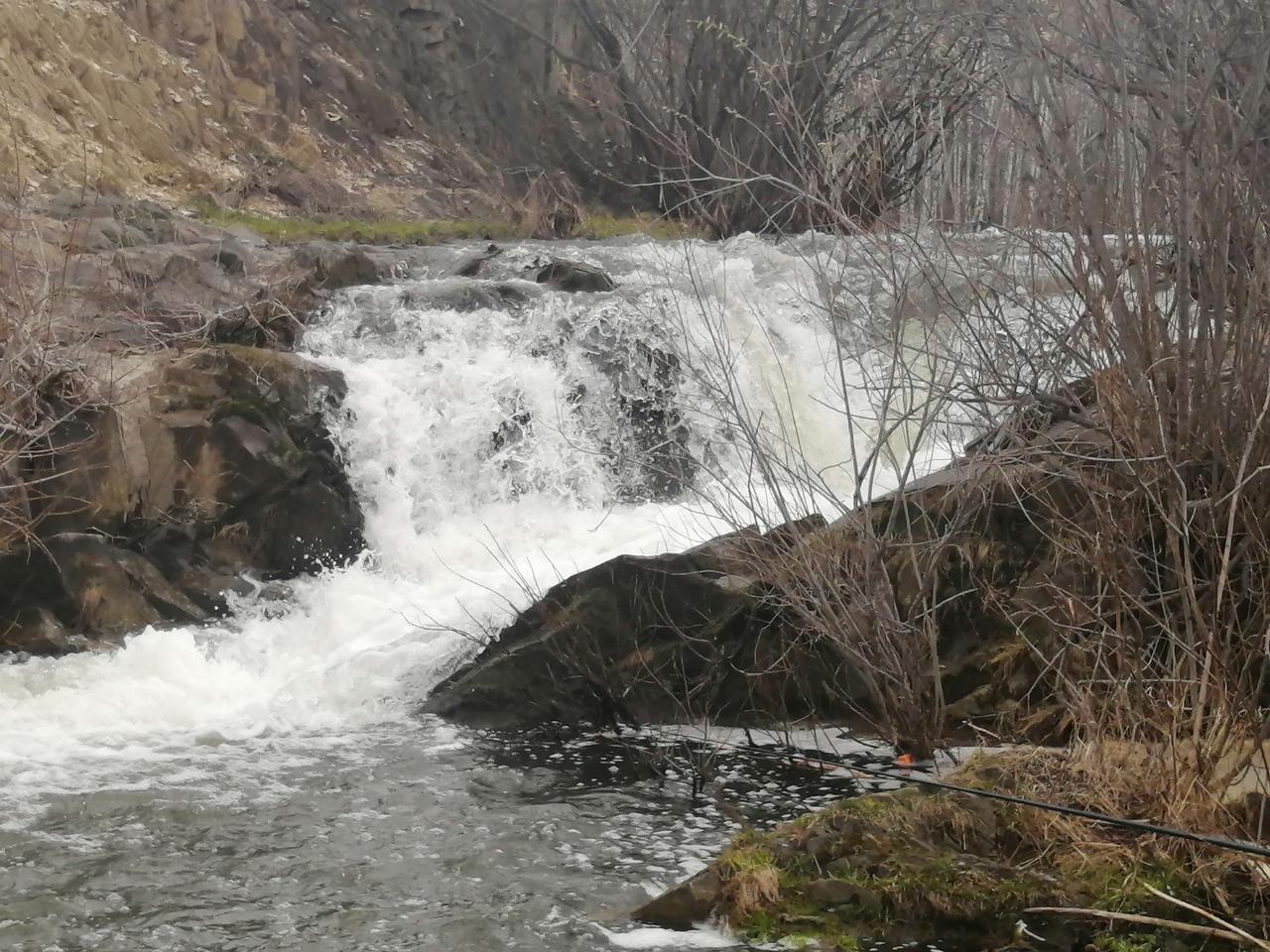 Без подписи