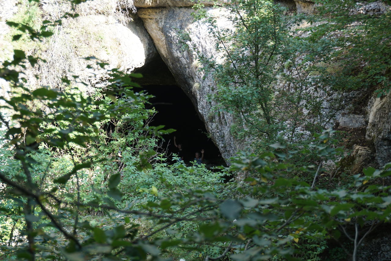 Без подписи