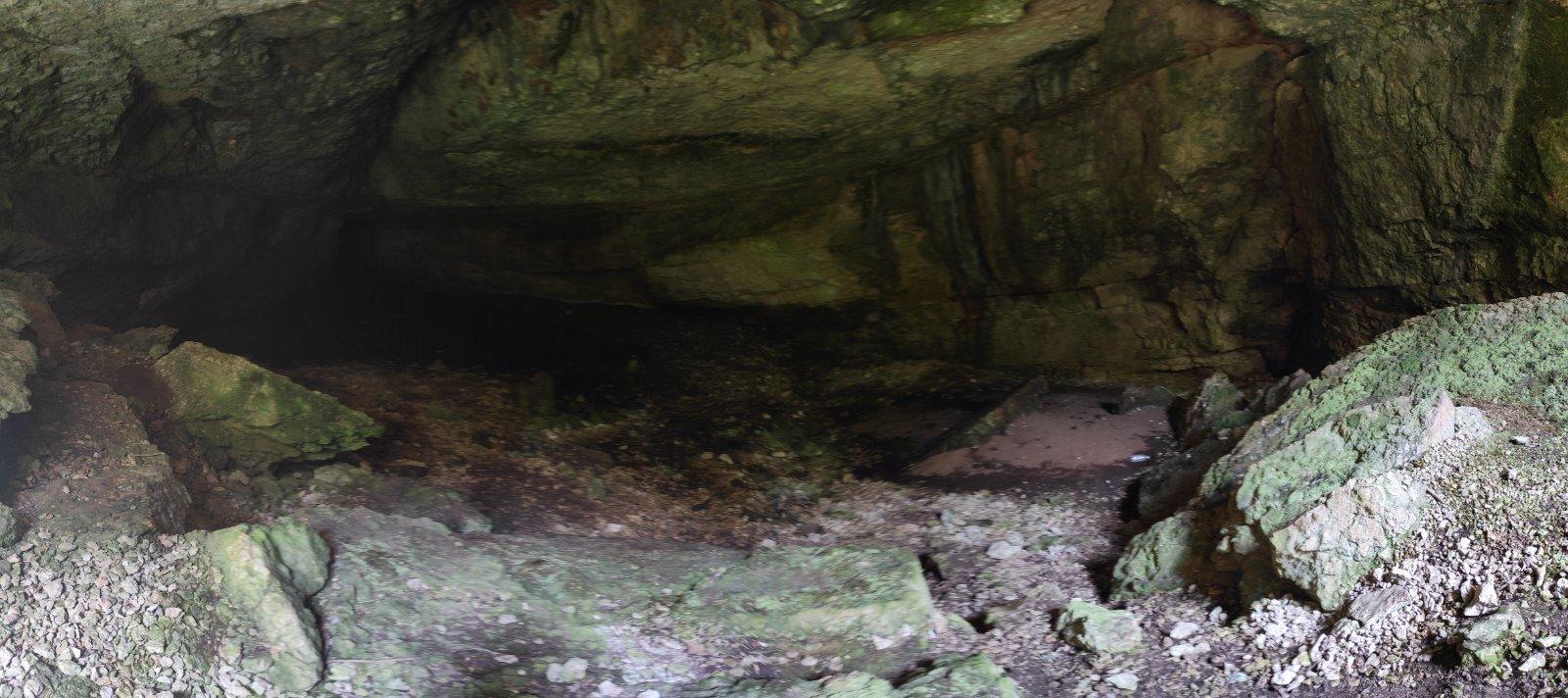 Без подписи