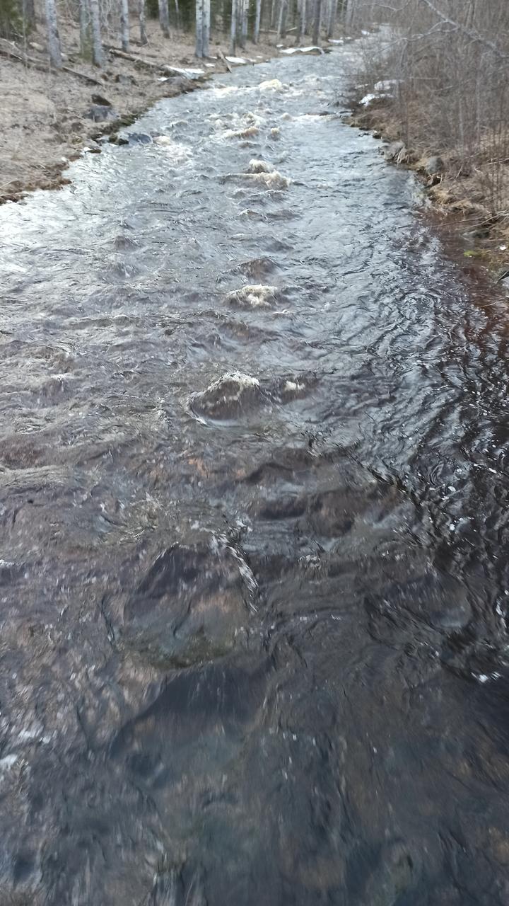 Река Пидьма