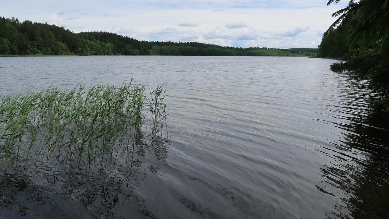 Без подписи