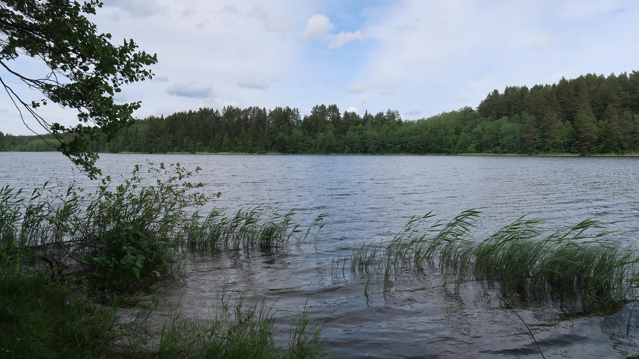 Без подписи